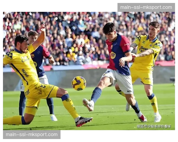 为促进环保,西甲宣布下赛季起客场球队将优先使用铁路交通 为促进环保,西甲宣布下赛季起客场球队将优先使用铁路交通